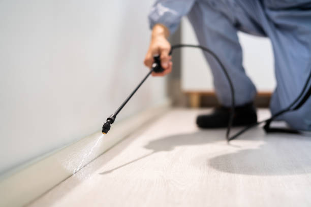 Rodent Entry Point Assessment in St. Louis Park