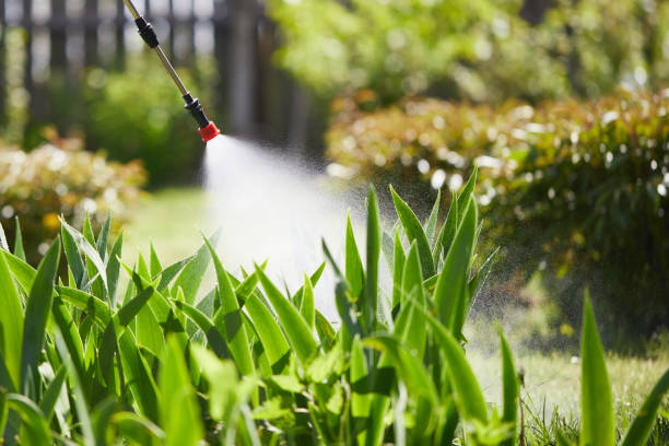 Tamper-Resistant Bait Stations for Rodents in St. Louis Park