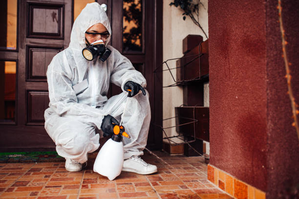 Attic and Crawl Space Rodent Treatment in St. Louis Park