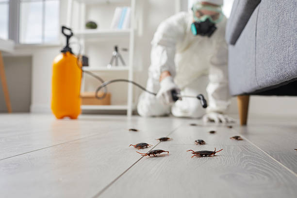 Commercial Rodent Management in St. Louis Park